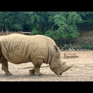 Meet your Posher, Pedro